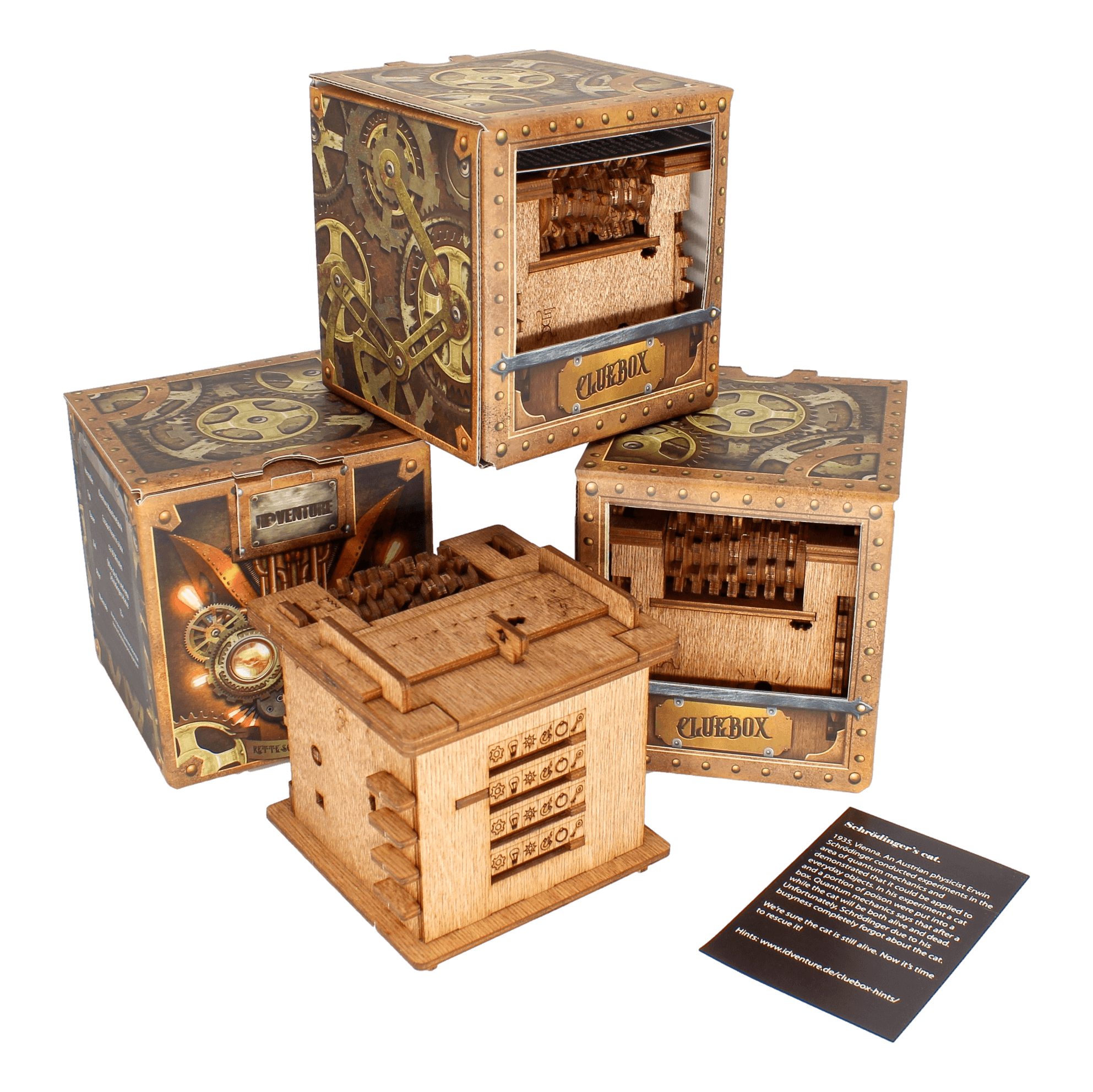 Cluebox "Schrödinger's Cat" Escape Room Game-iDventure--