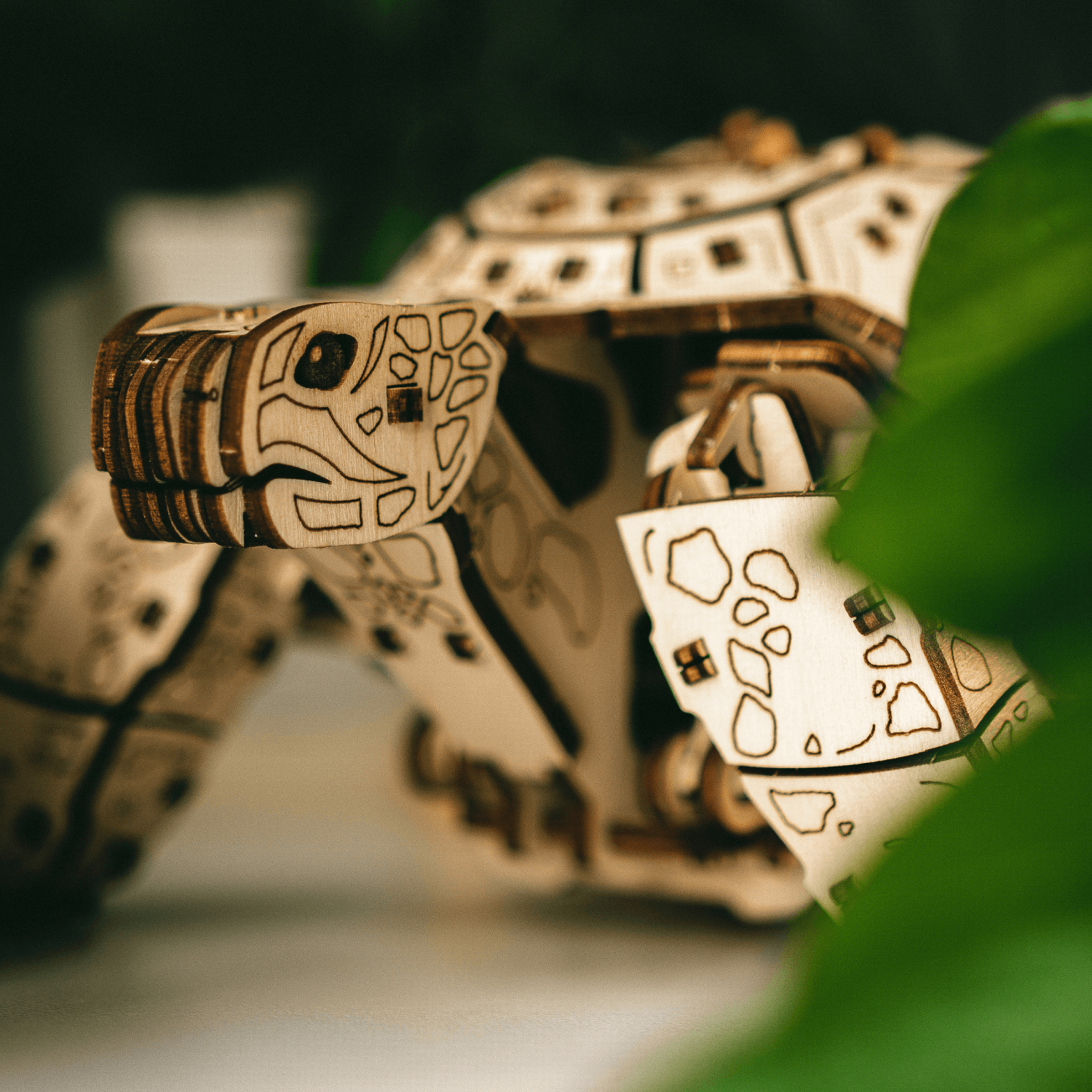 Le voyage de la tortue — Kit de construction mécanique pour la fête des mères Kit de construction mécanique MagicHolz
